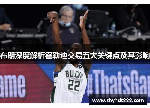 布朗深度解析霍勒迪交易五大关键点及其影响