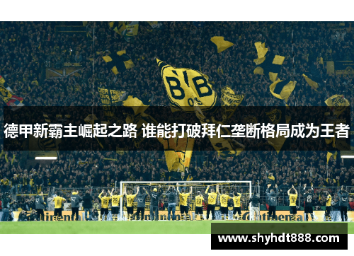 德甲新霸主崛起之路 谁能打破拜仁垄断格局成为王者